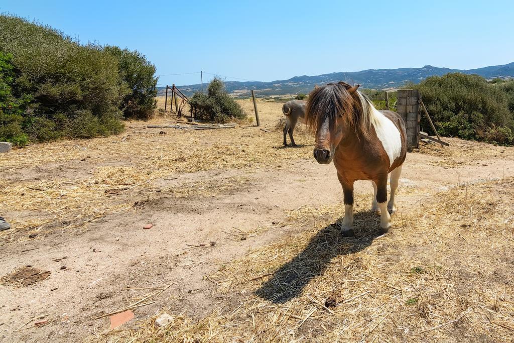 Agriturismo Lu Nodu Villa Greuli ภายนอก รูปภาพ